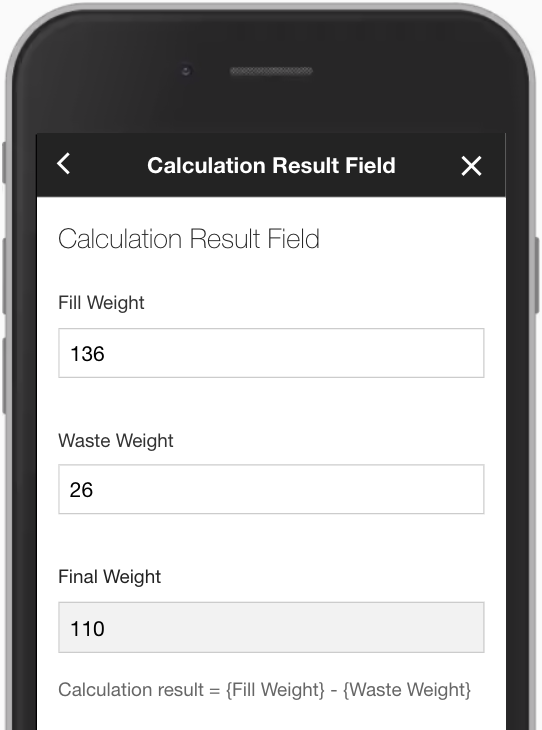 Calculation Result Field